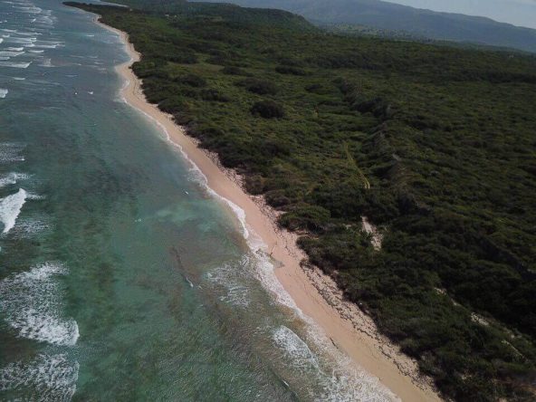 Cabo Punta Burén - Playa en República Dominicana